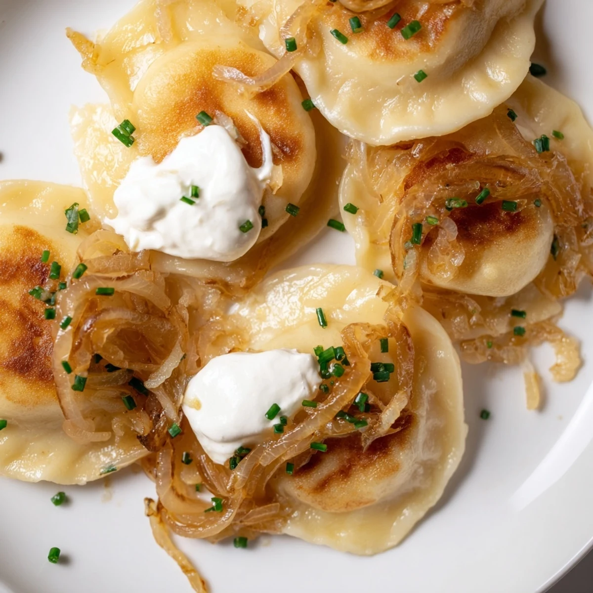 A close-up of freshly cooked Polish pierogi, the potato and cheese filling nestled inside.